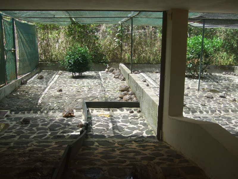 Mauritius 2010 - 0316 